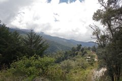 14-Landscape around San Gerardo de Dota